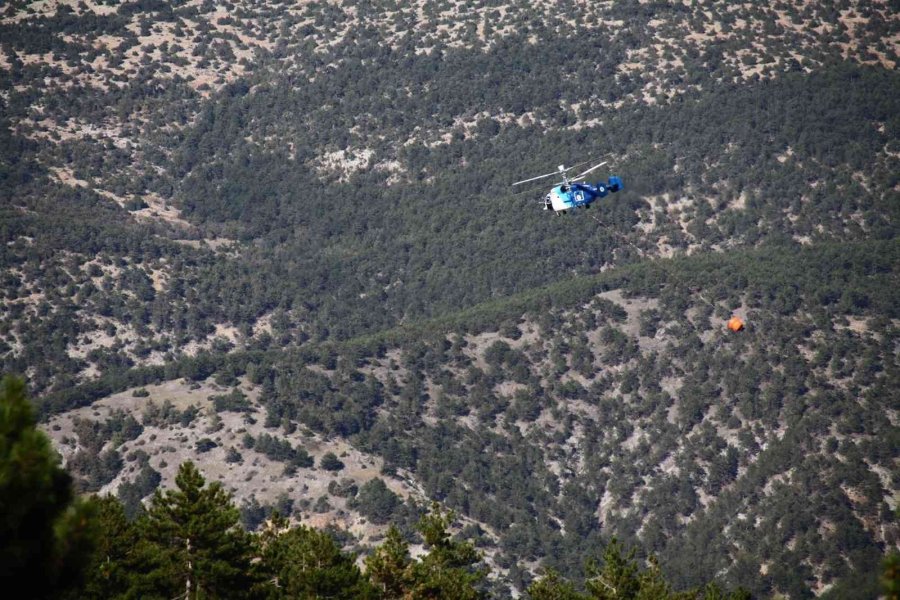 Eskişehir’deki Yangında 10 Hektarlık Meşe Ve Karaçam Ormanı Zarar Gördü