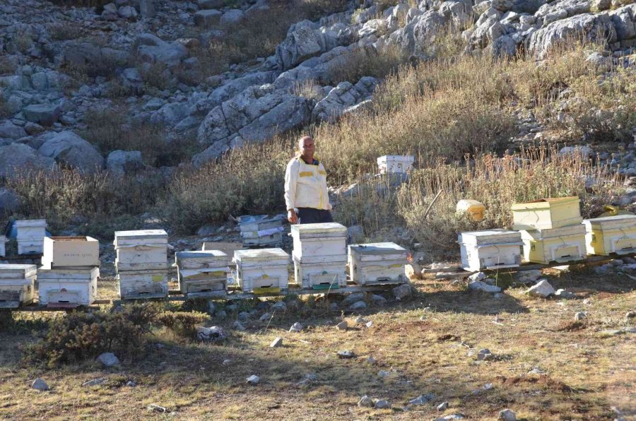 Siparişler Kovandan Çıkmadan Alınıyor, Kilogramı 300 Tl’den Satılıyor