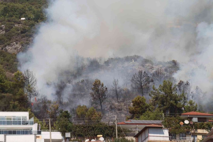 Alanya’da Orman Yangını