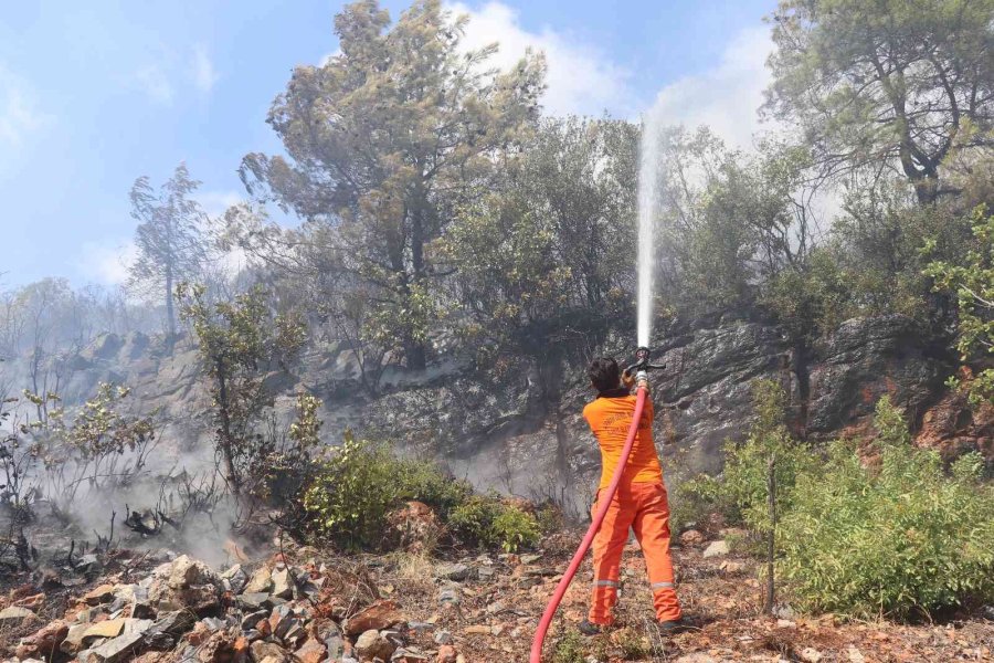 Alanya’da Orman Yangını