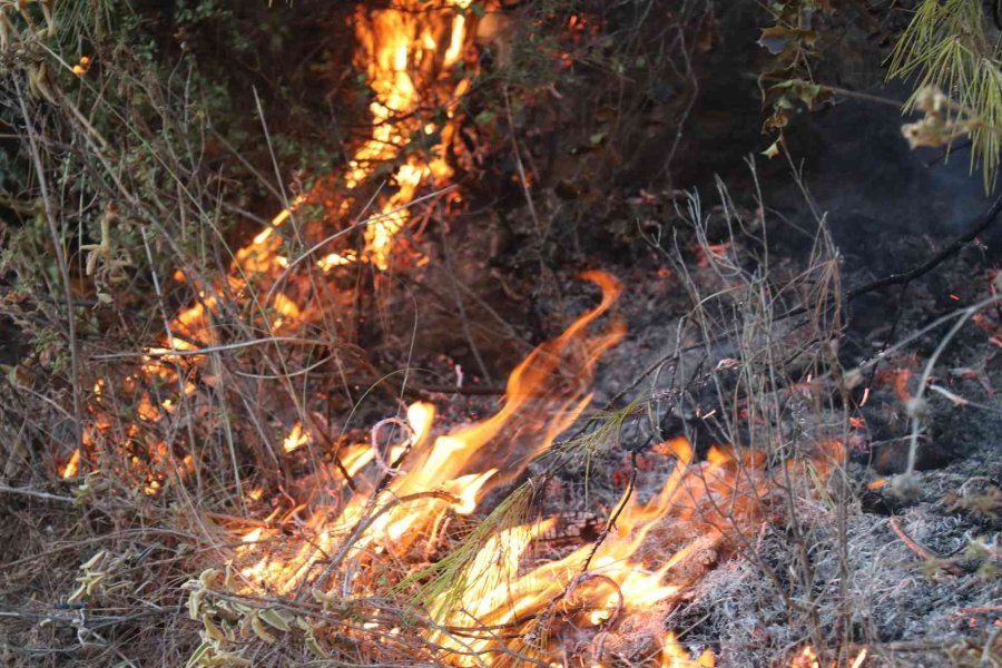 Alanya’da İkinci Orman Yangını Büyümeden Söndürüldü