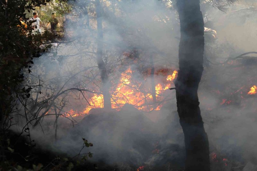 Alanya’da İkinci Orman Yangını Büyümeden Söndürüldü