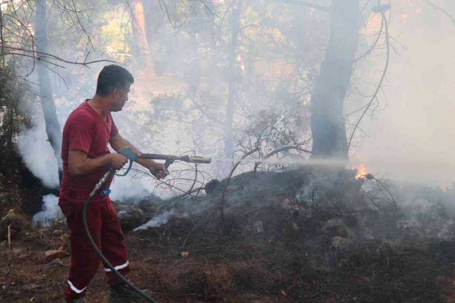 Alanya’da İkinci Orman Yangını Büyümeden Söndürüldü