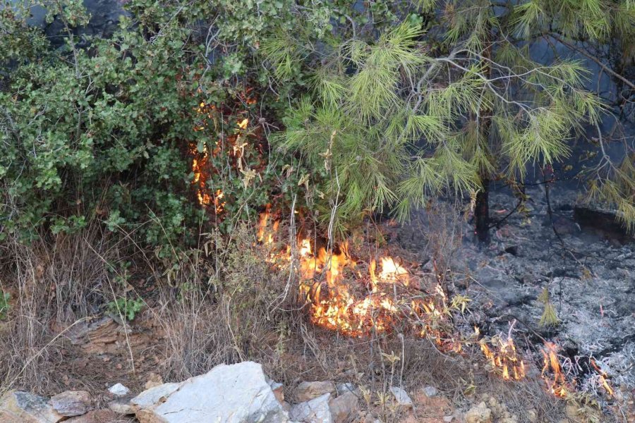 Alanya’da İkinci Orman Yangını Büyümeden Söndürüldü