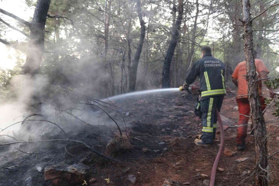 Alanya’da İkinci Orman Yangını Büyümeden Söndürüldü