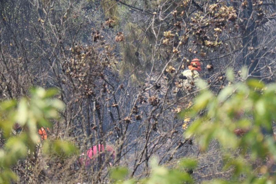 Alanya’da Yerleşim Yerine Yakın Alanda Çıkan Orman Yangını Kontrol Altına Alındı