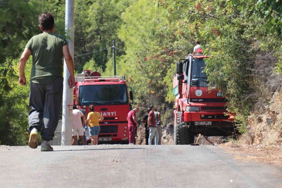 Alanya’da Yerleşim Yerine Yakın Alanda Çıkan Orman Yangını Kontrol Altına Alındı