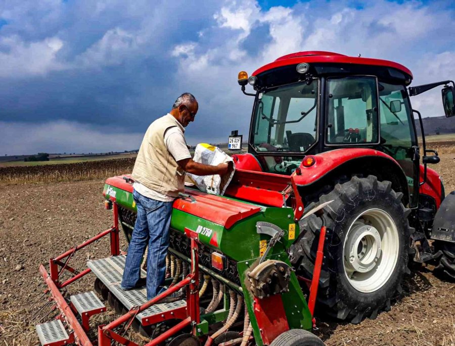 İnönü’de Yüzde 75 Hibeli Kanola Tohumları Toprakla Buluştu