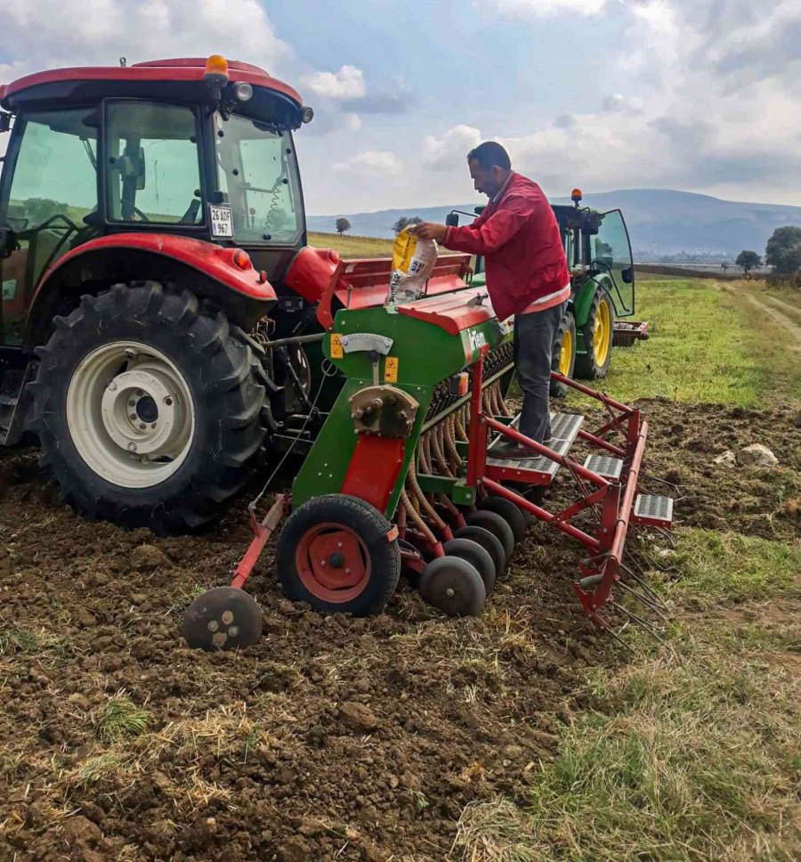 İnönü’de Yüzde 75 Hibeli Kanola Tohumları Toprakla Buluştu