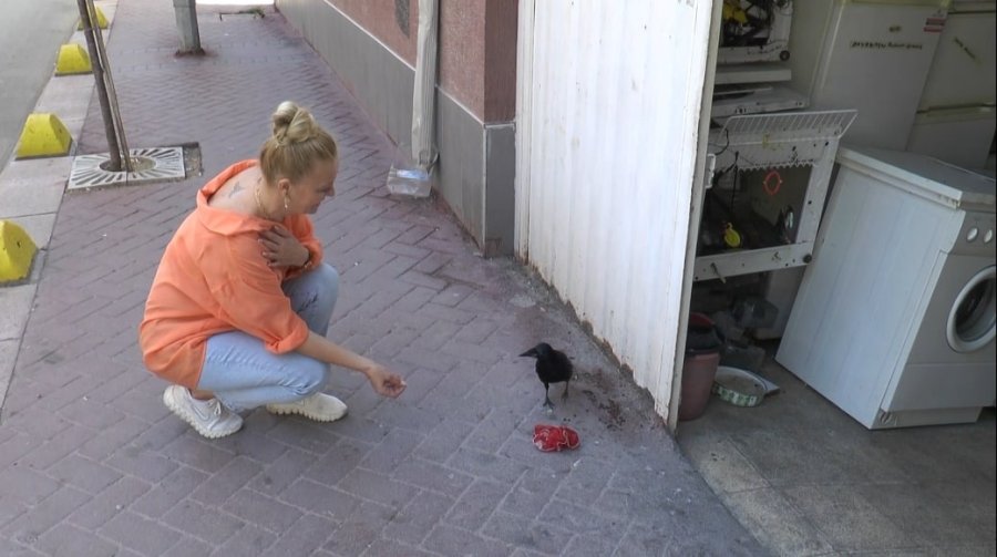 Recep Amca Ve Karga ‘şakir’in Dostluğu Görenleri Mest Ediyor