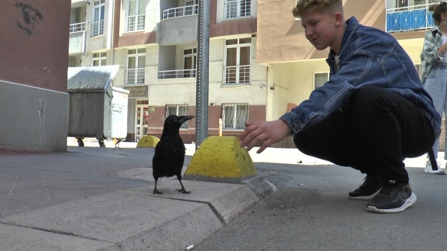 Recep Amca Ve Karga ‘şakir’in Dostluğu Görenleri Mest Ediyor