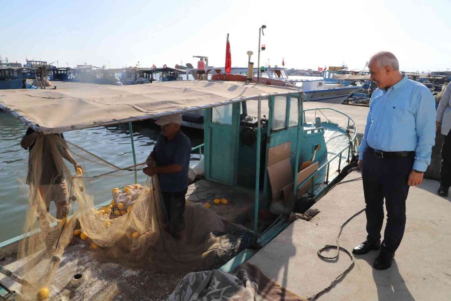 Akdeniz’de Balık Festivali Heyecanı