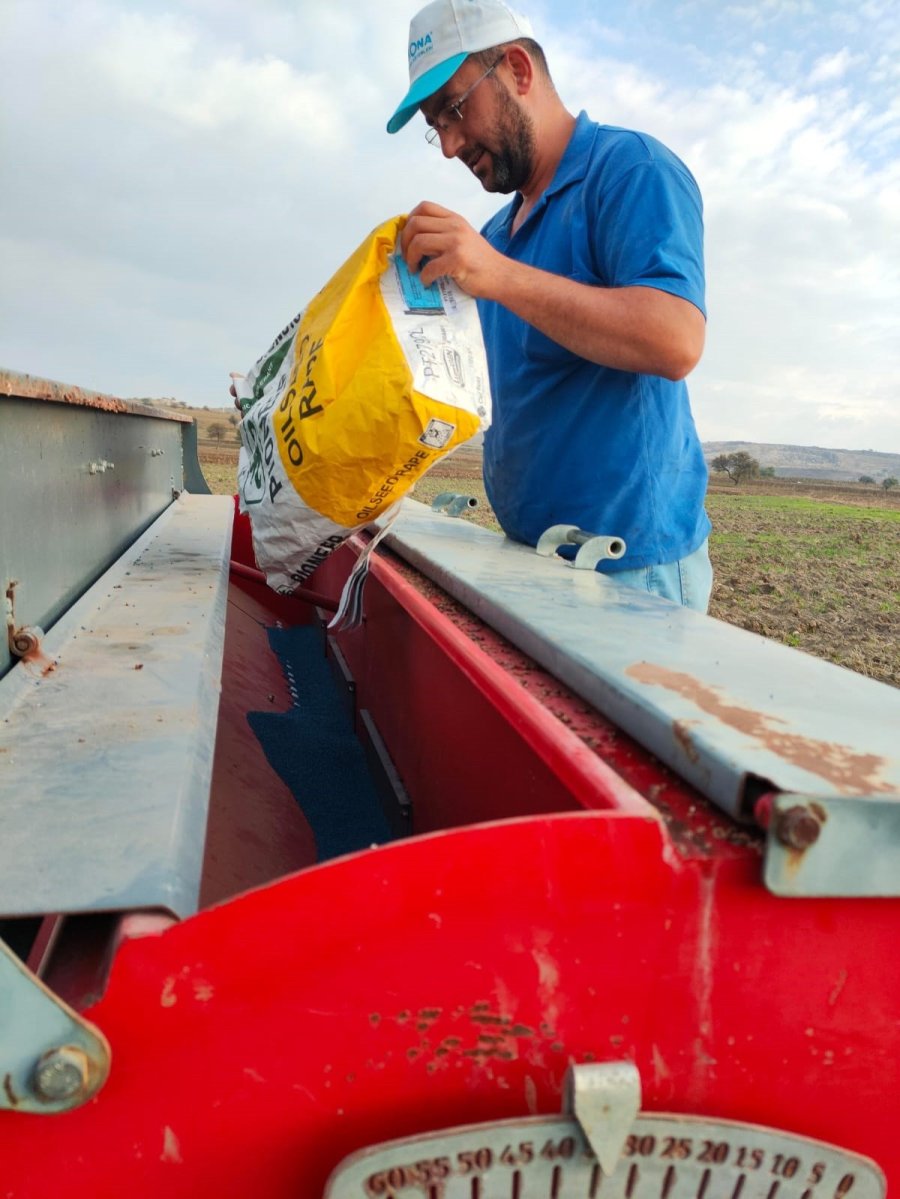 İnönü’de Yüzde 75 Hibeli Kanola Tohumları Toprakla Buluştu