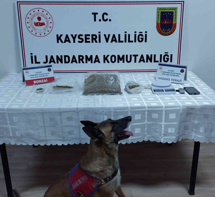 Jandarmadan Uyuşturucu Operasyonu