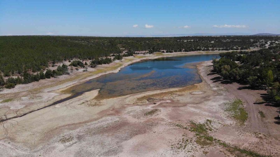 1 Yılda 100 Bin Metreküp Su Kaybeden Musaözü Barajı Kuraklıkla Boğuşuyor