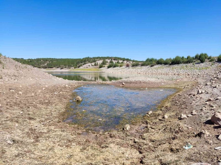 1 Yılda 100 Bin Metreküp Su Kaybeden Musaözü Barajı Kuraklıkla Boğuşuyor