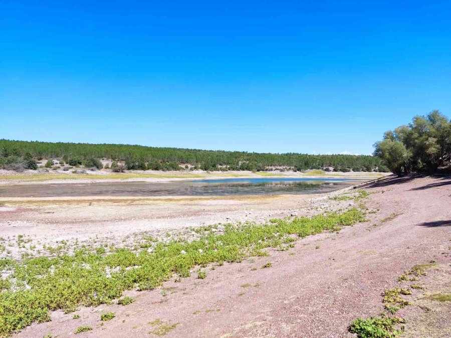 1 Yılda 100 Bin Metreküp Su Kaybeden Musaözü Barajı Kuraklıkla Boğuşuyor