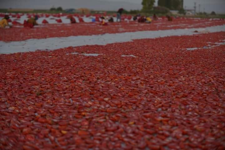 Erciyes’in Etekleri Kırmızıya Boyandı