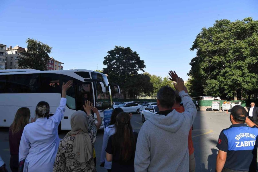 Ulu Çınarlar Çanakkale’de