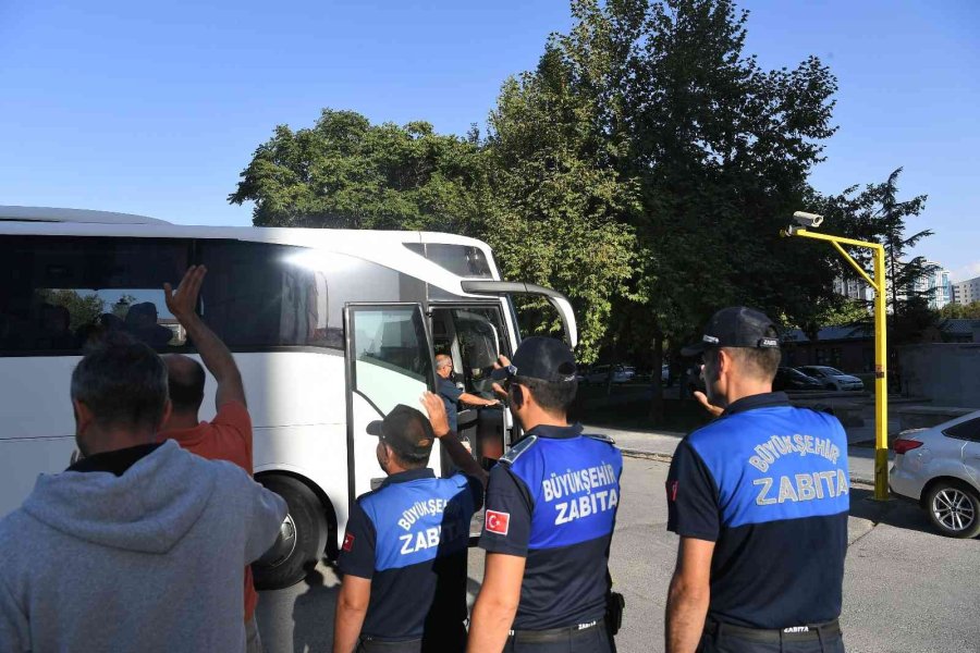 Ulu Çınarlar Çanakkale’de