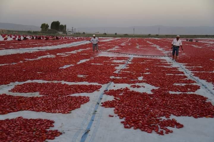 Erciyes’in Etekleri Kırmızıya Boyandı