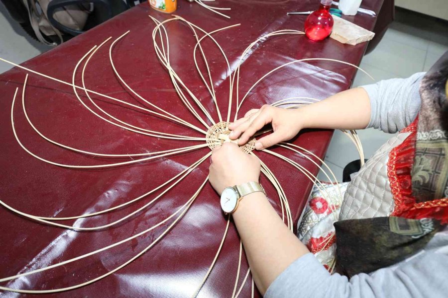 Komek Ve Asem’de Güz Dönemi Kayıtları Başladı