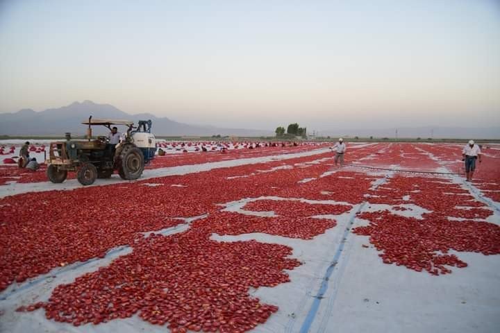 Erciyes’in Etekleri Kırmızıya Boyandı