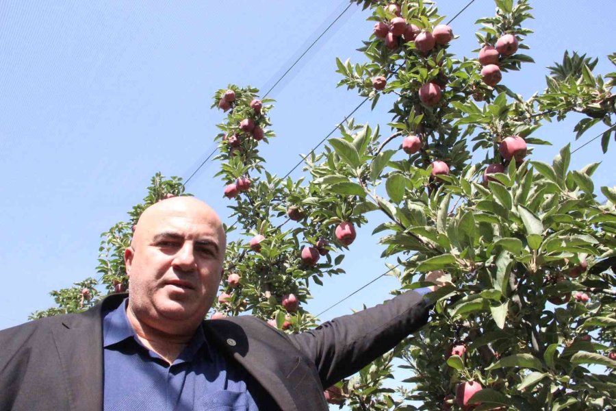 Karaman’da Dalları Elma Bastı