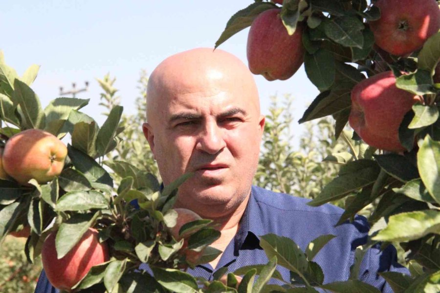 Karaman’da Dalları Elma Bastı