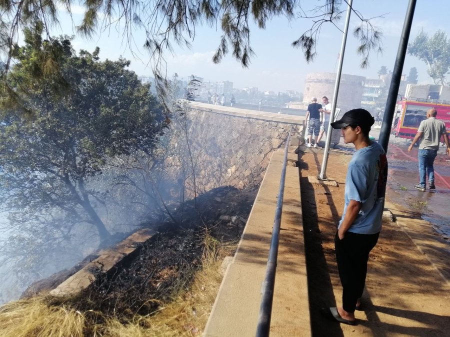 Falezlerde Çalılık Yangını