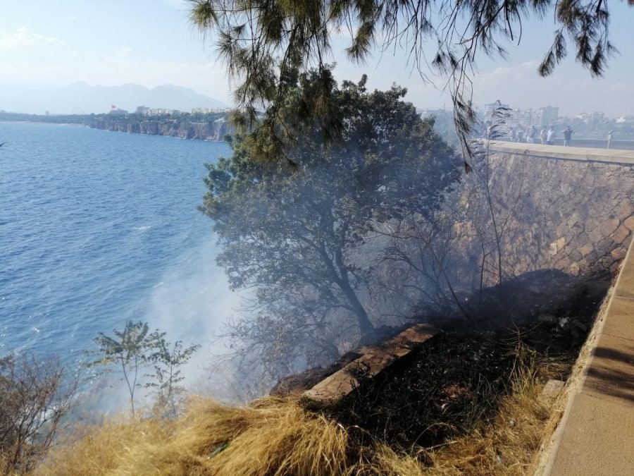 Falezlerde Çalılık Yangını