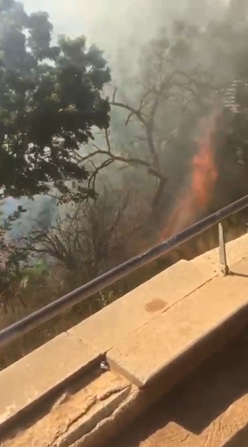 Falezlerde Çalılık Yangını