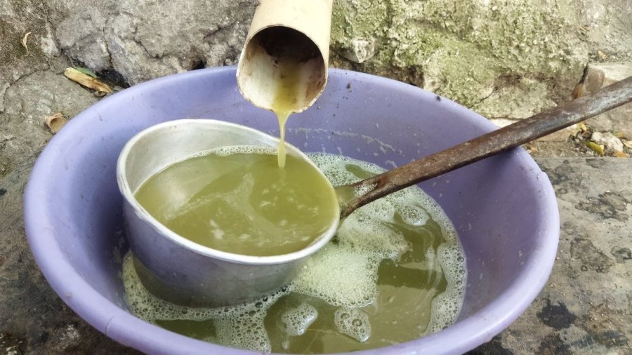 Yunusemre’de Bağ Bozumu Başladı