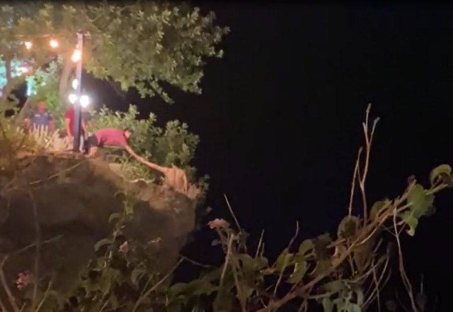 Antalya’da Falezlere Çıkan Genç Ölümle Burun Buruna Geldi, Ablası 1.5 Saatte İkna Etti