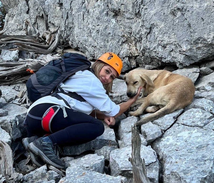 Sokak Köpeğinin Simit Ve Yumurta Vefası Dağcıları Hem Şaşırttı Hem Duygulandırdı