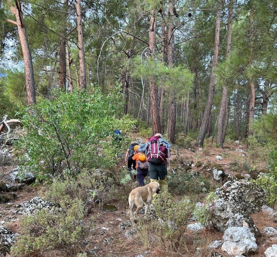 Sokak Köpeğinin Simit Ve Yumurta Vefası Dağcıları Hem Şaşırttı Hem Duygulandırdı