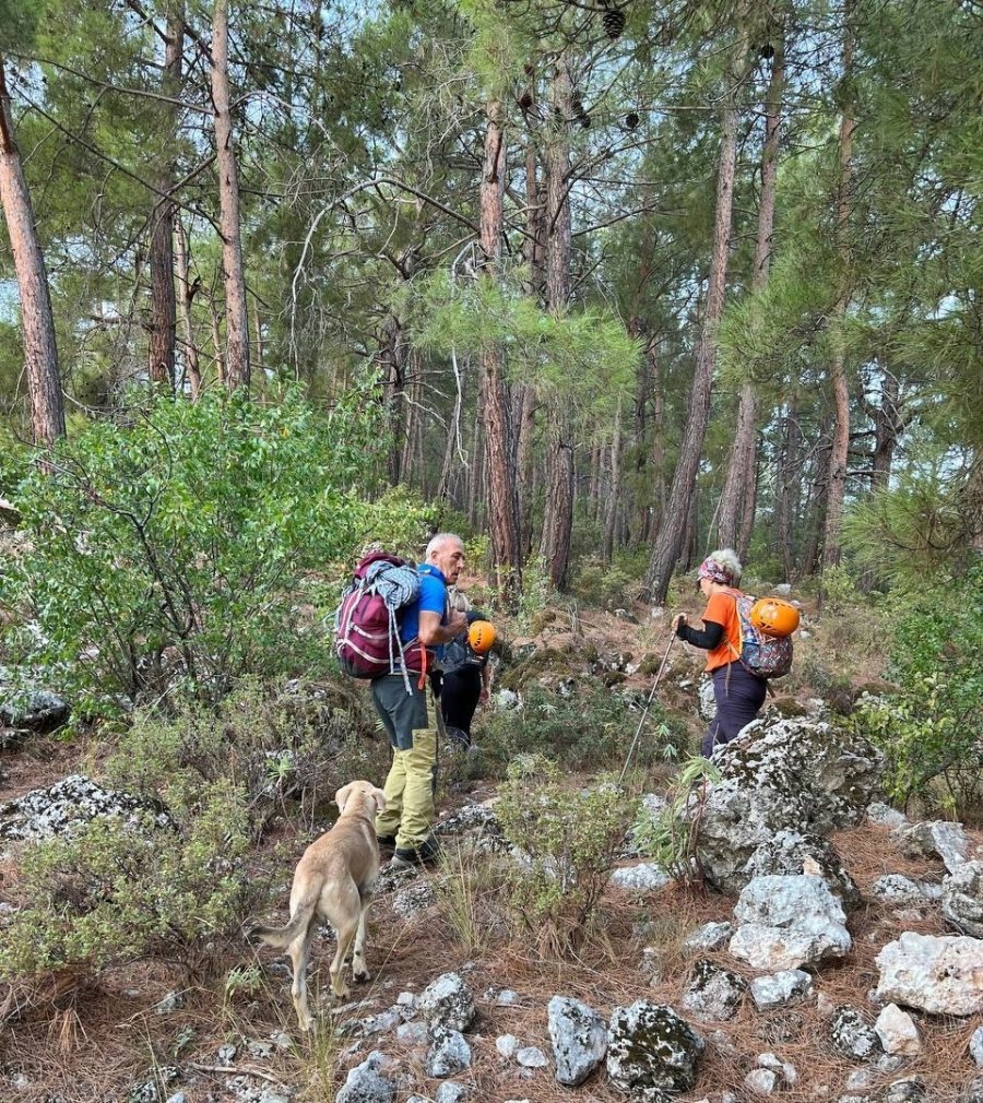 Sokak Köpeğinin Simit Ve Yumurta Vefası Dağcıları Hem Şaşırttı Hem Duygulandırdı