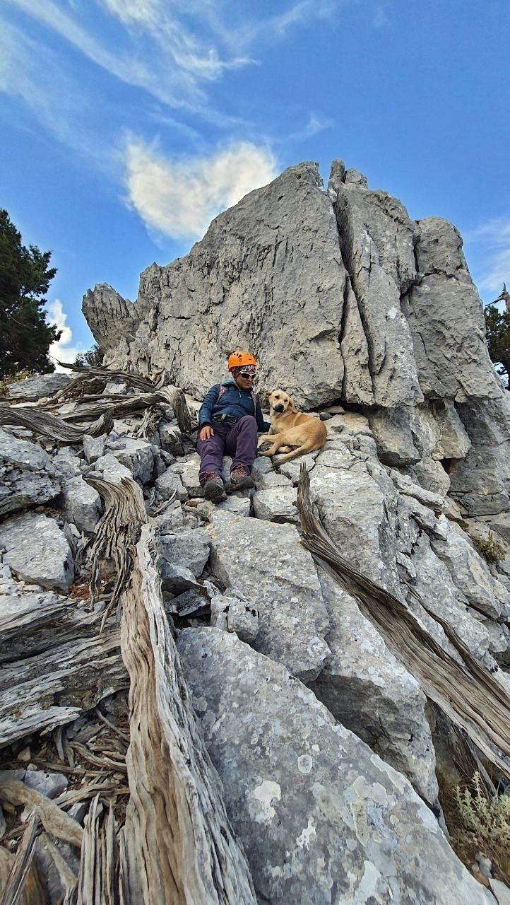 Sokak Köpeğinin Simit Ve Yumurta Vefası Dağcıları Hem Şaşırttı Hem Duygulandırdı