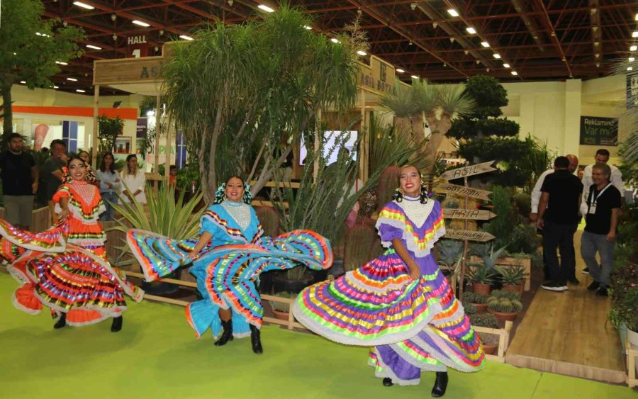 Payzajda Kuraklık Bitkilerine Dönüş