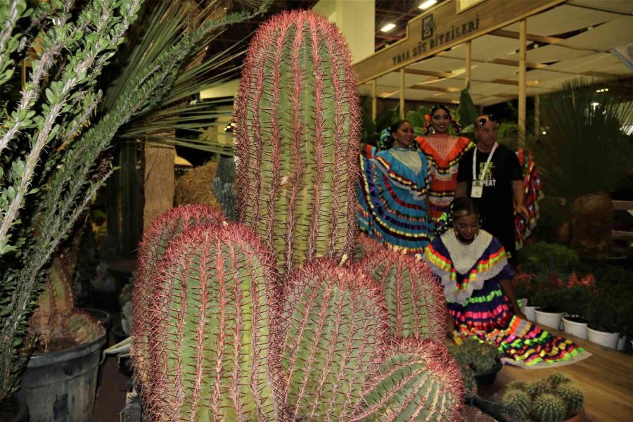 Payzajda Kuraklık Bitkilerine Dönüş