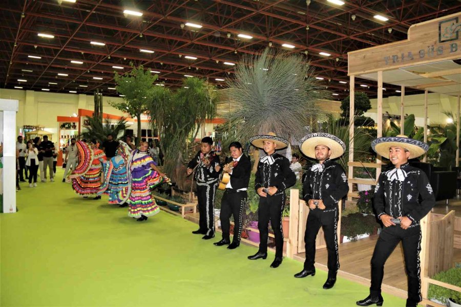 Payzajda Kuraklık Bitkilerine Dönüş