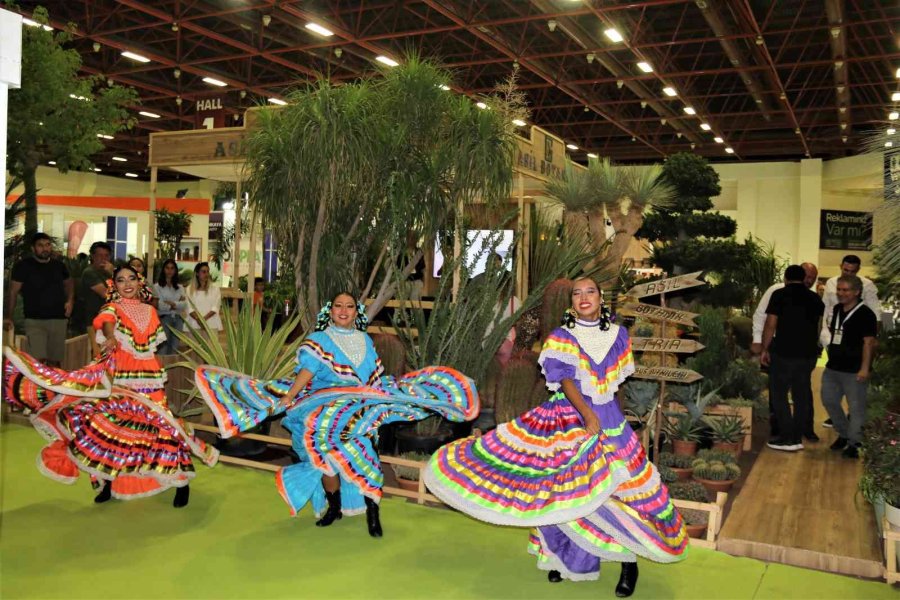 Payzajda Kuraklık Bitkilerine Dönüş