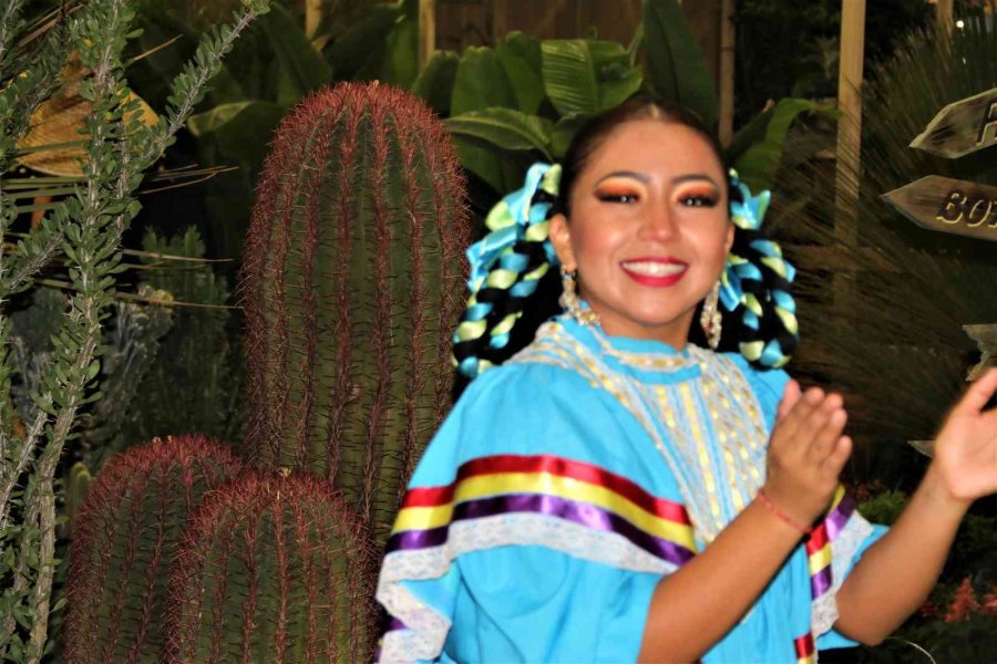 Payzajda Kuraklık Bitkilerine Dönüş