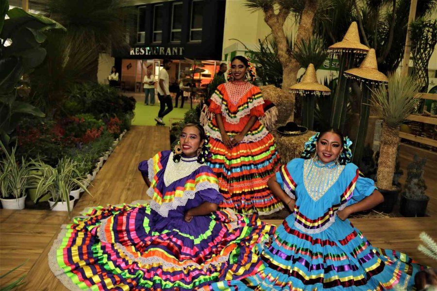 Payzajda Kuraklık Bitkilerine Dönüş