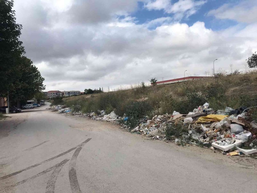 Hayrete Düşüren Sorumsuzluk