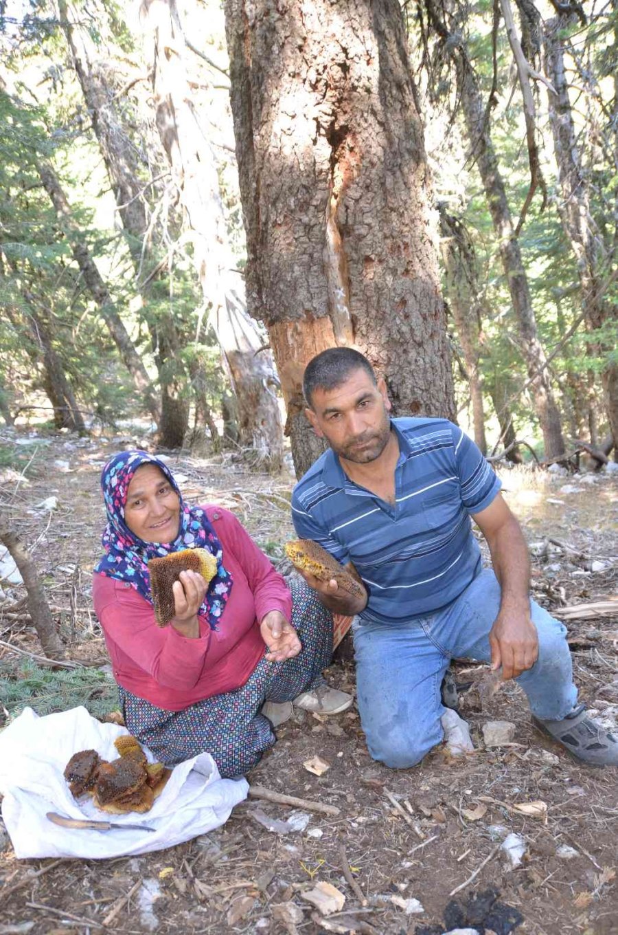 Antalyalı Balcılar Toros Dağları’nda Firari Arıların İzini Sürerek Bal Topluyor