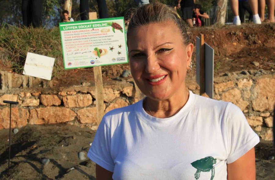 Sona Kalan Caretta Caretta Yavruları Denizle Buluşturuldu