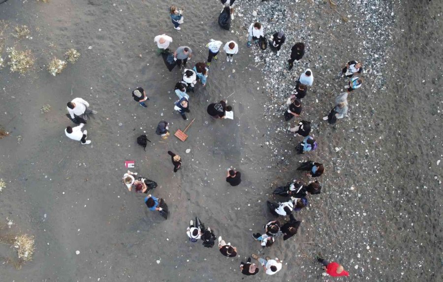 Sona Kalan Caretta Caretta Yavruları Denizle Buluşturuldu