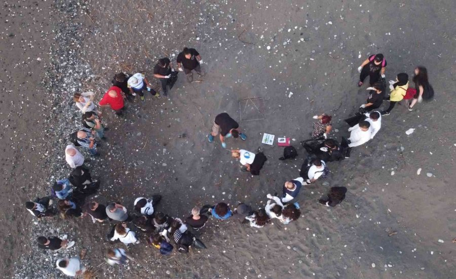 Sona Kalan Caretta Caretta Yavruları Denizle Buluşturuldu