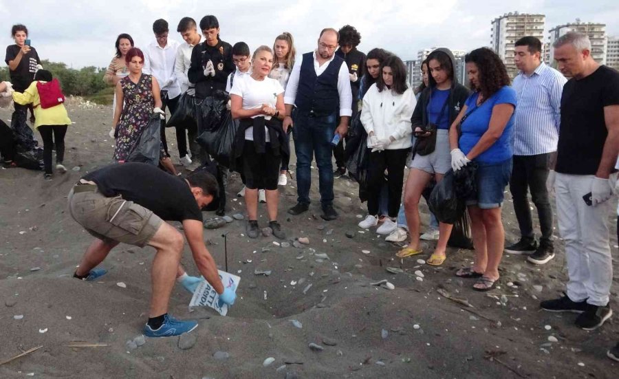 Sona Kalan Caretta Caretta Yavruları Denizle Buluşturuldu